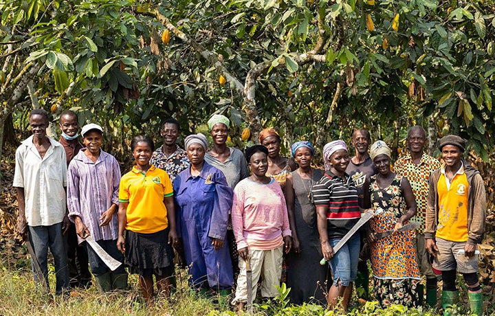 A group of Cocoa bean farmers in Ghana.