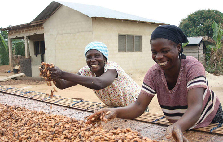 Women smiling, drying cocoa beans outside.