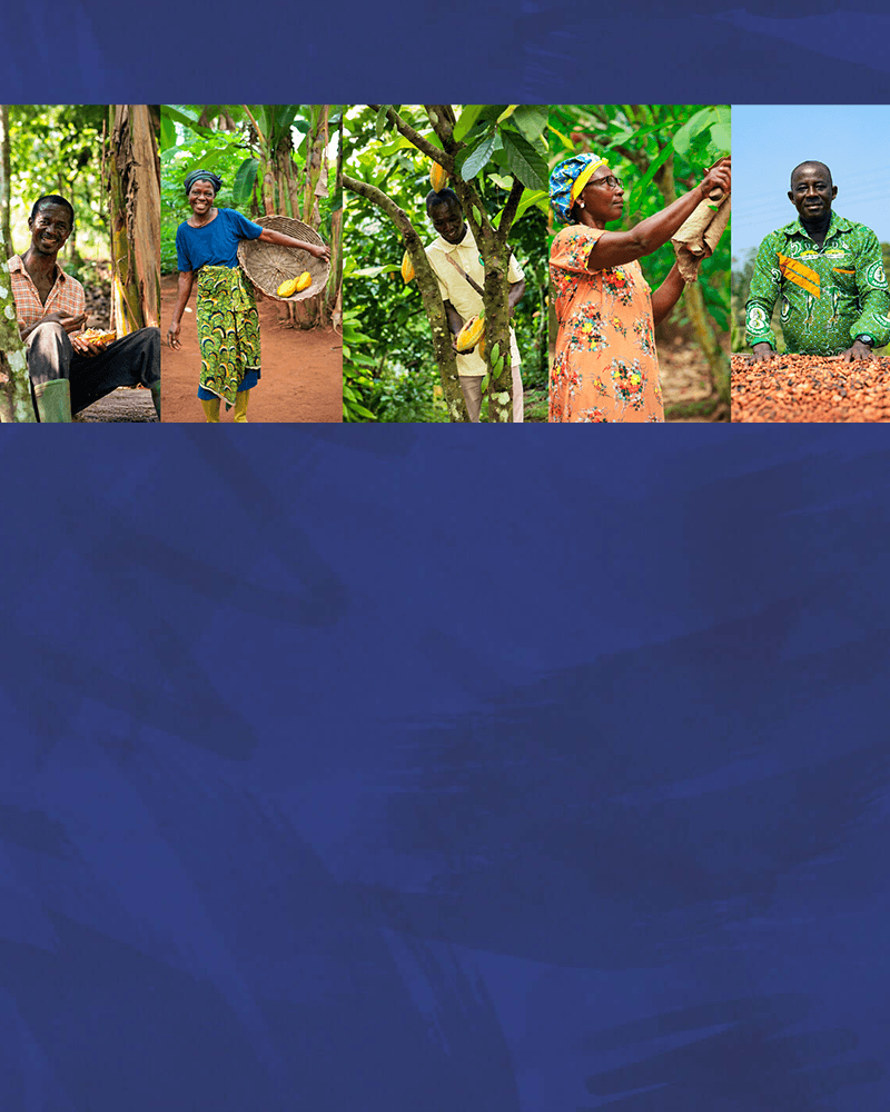 Banner featuring five cocoa farmers working with cacao pods and beans above a textured blue background.