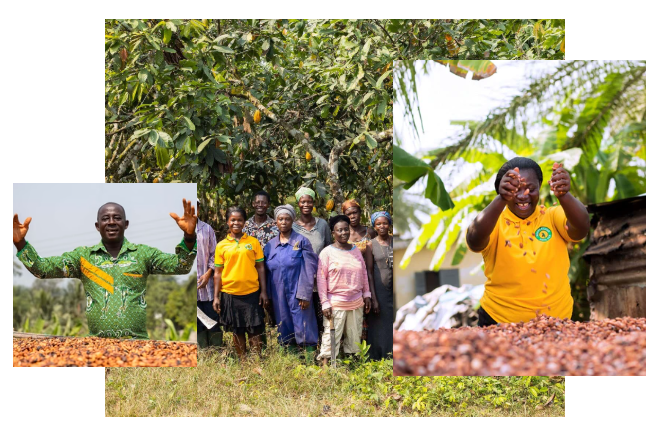 Ghana cocoa farmers